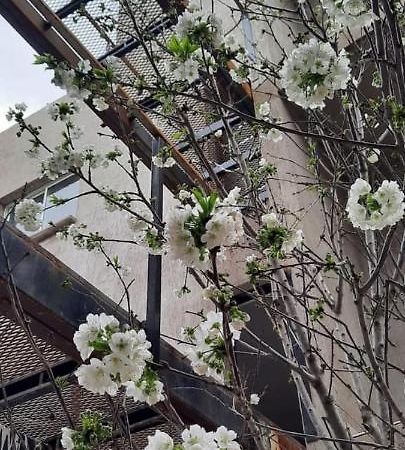 Апартаменты El Cerezo Мендоса Экстерьер фото